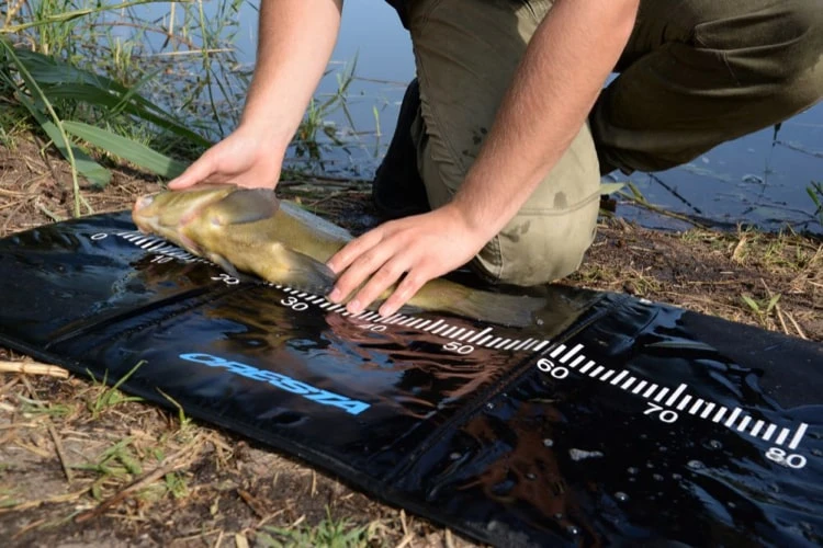 Cresta RULERMATT - Afbeelding 3