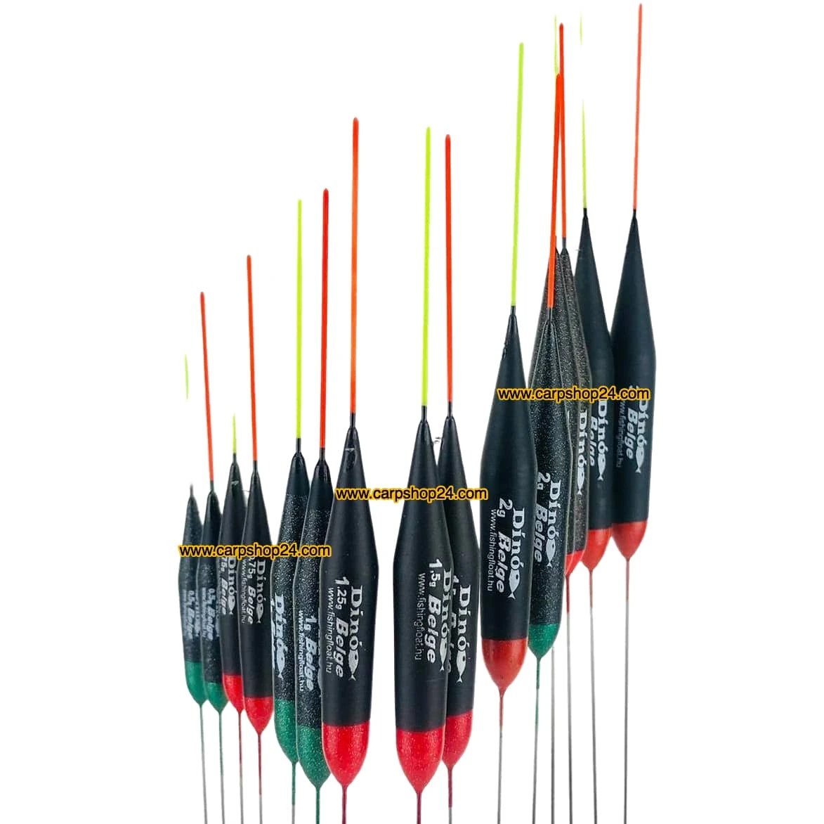 Dino BELGE - 16 Opties (3 Stuks)