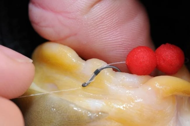 Guru QM1 BARBLESS - 5 Opties - Afbeelding 12