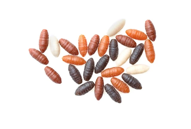 Drennan BUOYANT MAGGOT & CASTER - Afbeelding 6